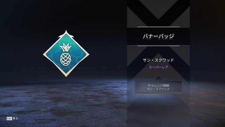 バナーバッジ「サン・スクワッド」