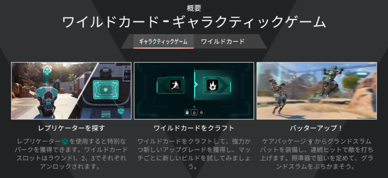 ワイルドカード概要