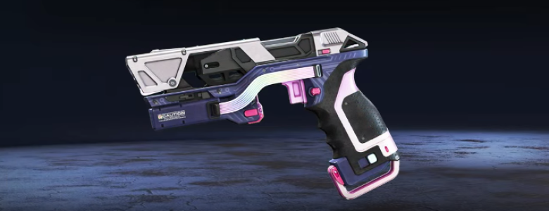 P2020スキン