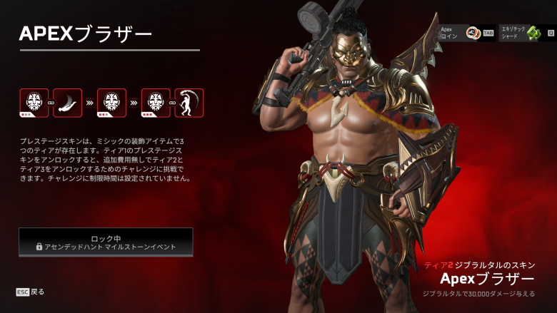ティア2スキン