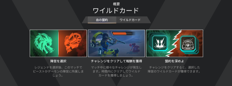 ワイルドカード概要